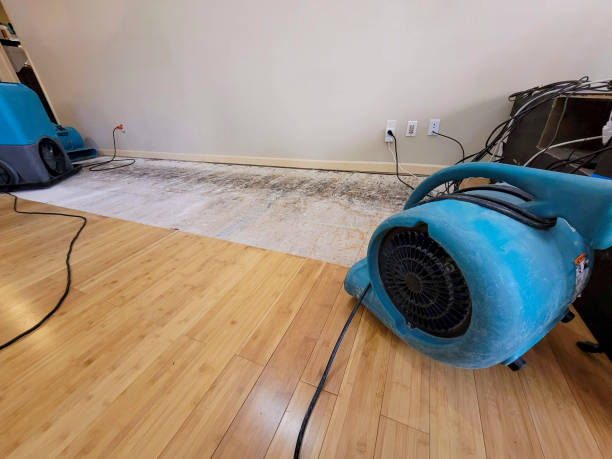 Professional Ceiling Water Damage Repair technician working in Camden, MO